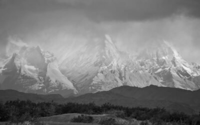 Ridgeline data analytics platform for financial advisors